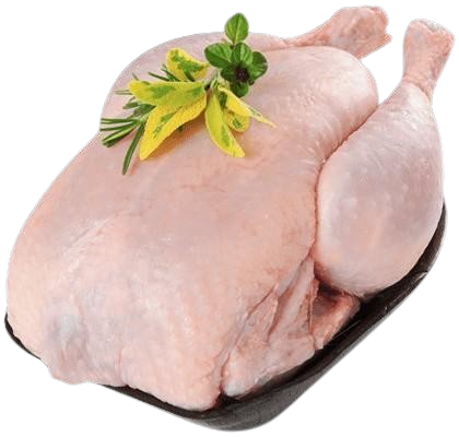 دجاج طازج - ١ كيلو